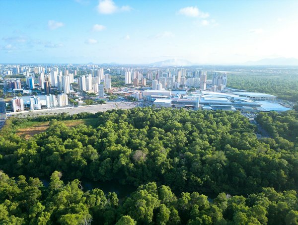 Découvrez ces assistants médicaux exceptionnels qui ont révolutionné leur profession